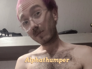 alphathumper Live Paradise