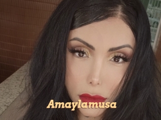 Amaylamusa