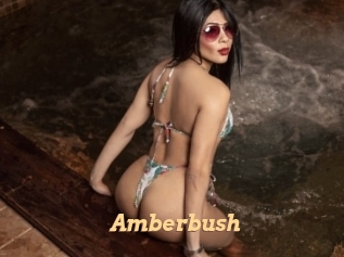amberbush Live Paradise