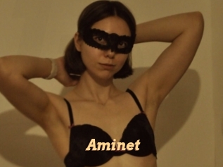 Aminet