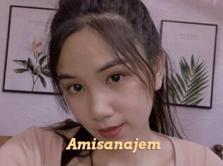 Amisanajem
