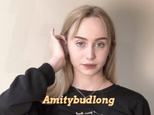 amitybudlong Live Paradise
