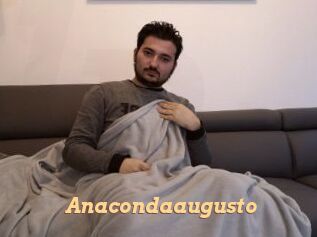 Anacondaaugusto