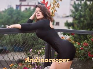Andinacooper
