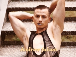 Andrew_falcon