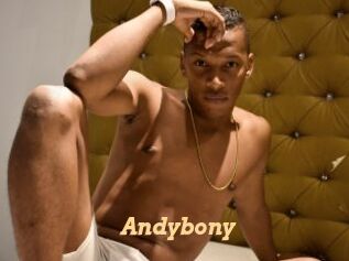 Andybony