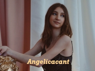 Angelicacant