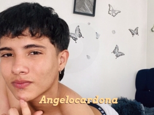 Angelocardona