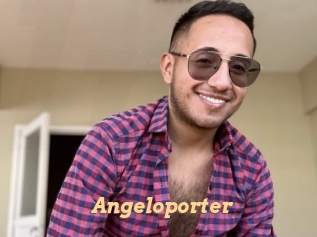 Angeloporter