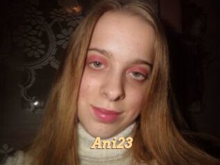 Ani23
