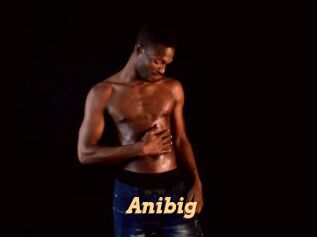 Anibig