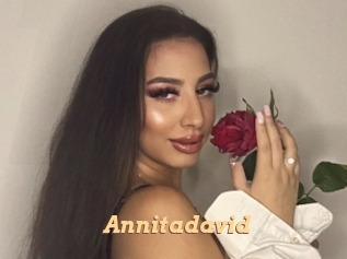 Annitadavid