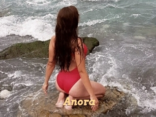 anora Live Paradise
