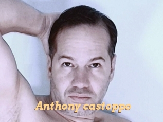 anthony_castoppo Live Paradise
