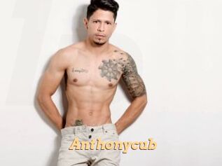 Anthonycub