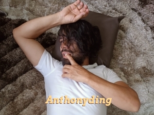Anthonyding