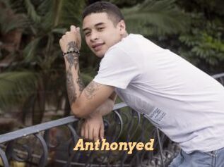 anthonyed Live Paradise