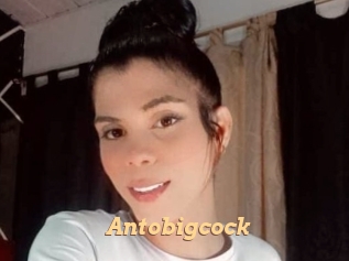 Antobigcock