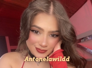 Antonelawildd