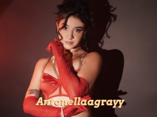 Antonellaagrayy