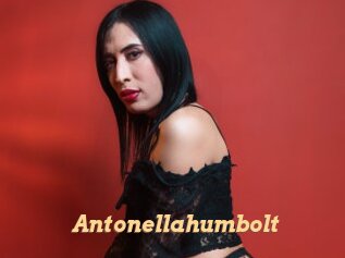 Antonellahumbolt