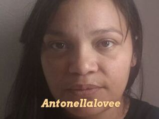Antonellalovee