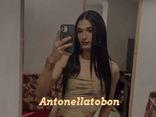 Antonellatobon