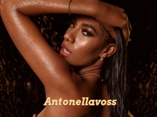 Antonellavoss