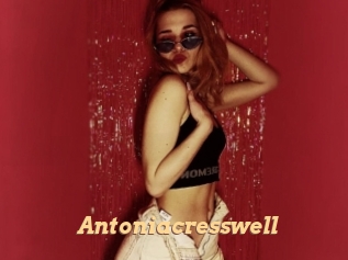 antoniacresswell Live Paradise