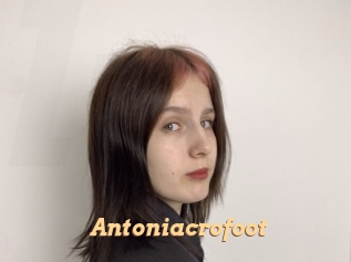 Antoniacrofoot