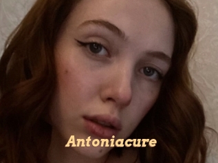 Antoniacure