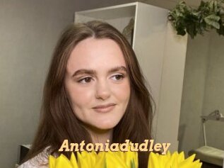Antoniadudley