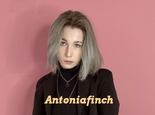 Antoniafinch