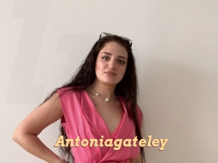 Antoniagateley