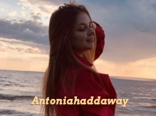 Antoniahaddaway
