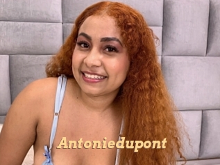 Antoniedupont