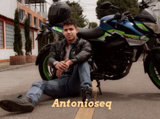antonioseq Live Paradise