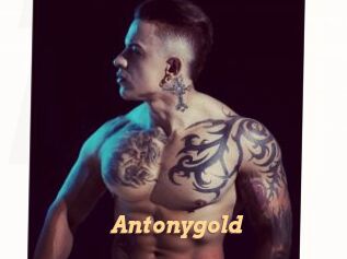 Antonygold