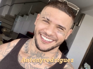 antonyrodriguez Live Paradise