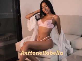 Anttonellabella