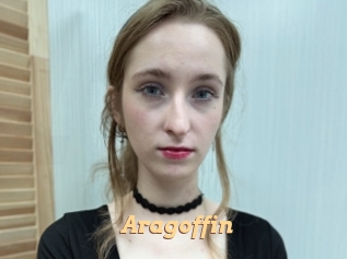 aragoffin Live Paradise