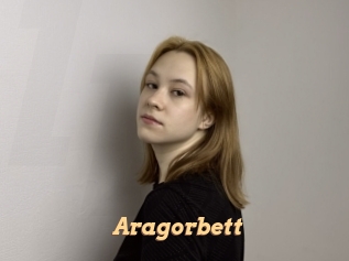 Aragorbett