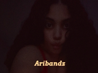 aribandz Live Paradise