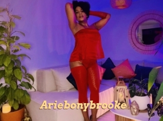 Ariebonybrooke