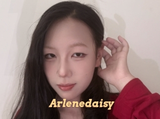Arlenedaisy