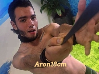 Aron18cm