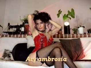 Ary_ambrosia