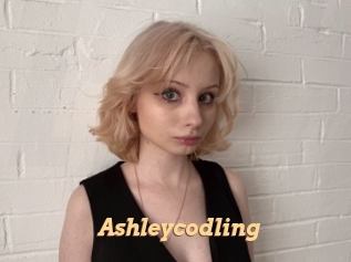 Ashleycodling