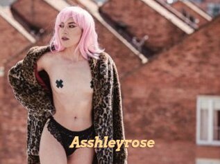 Asshleyrose