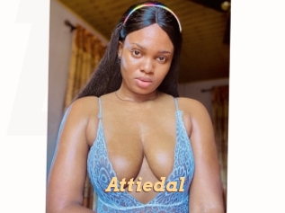 Attiedal